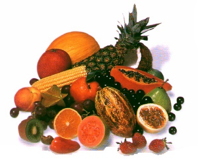 http://www.carbonari.com.br/frutas.jpg